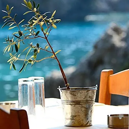 Tatil Evi Old In Town
